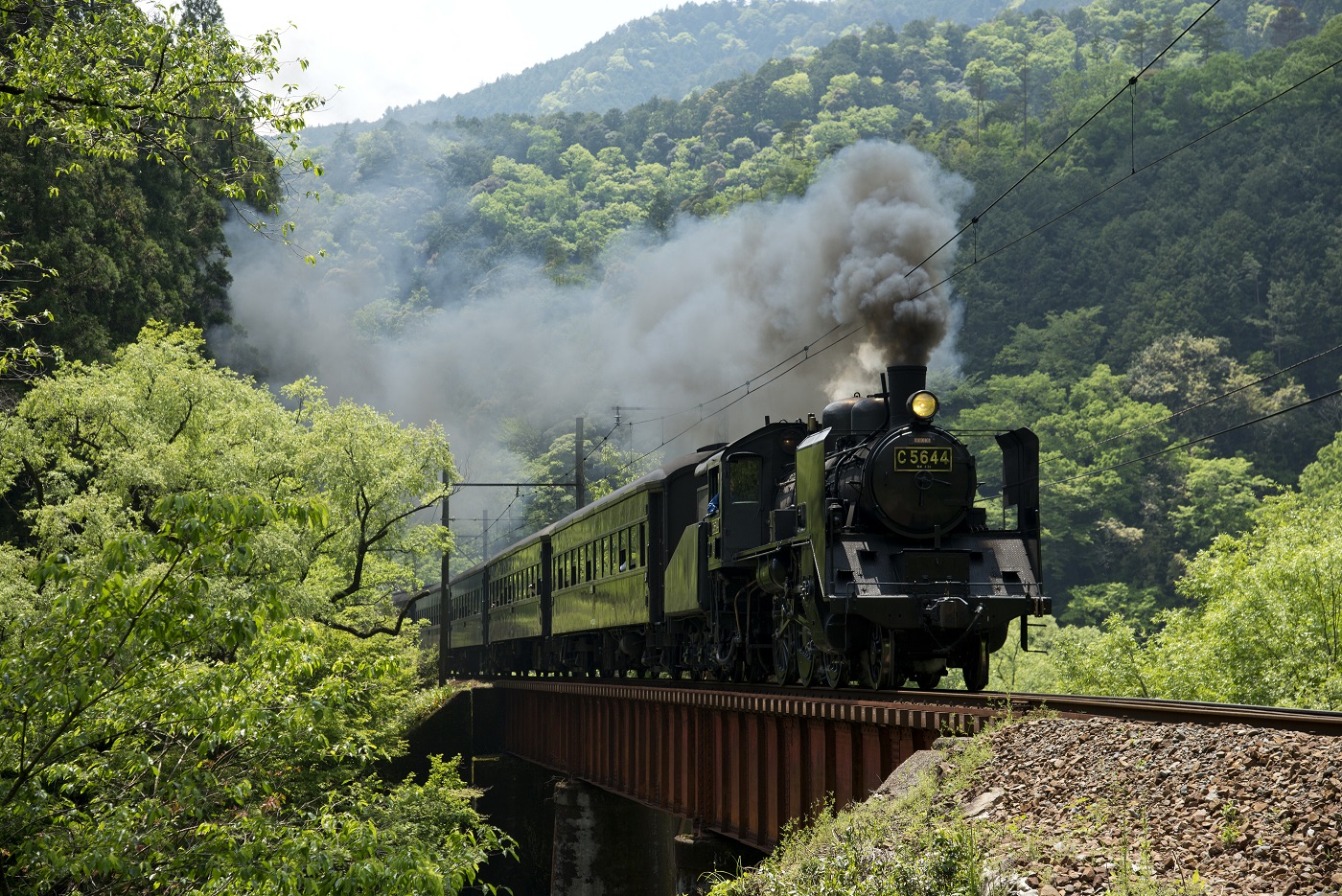 大井川C5644.jpg