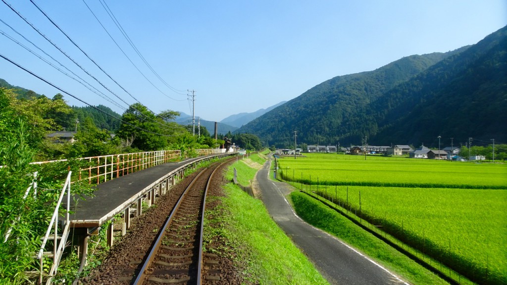 水鳥駅長いホーム