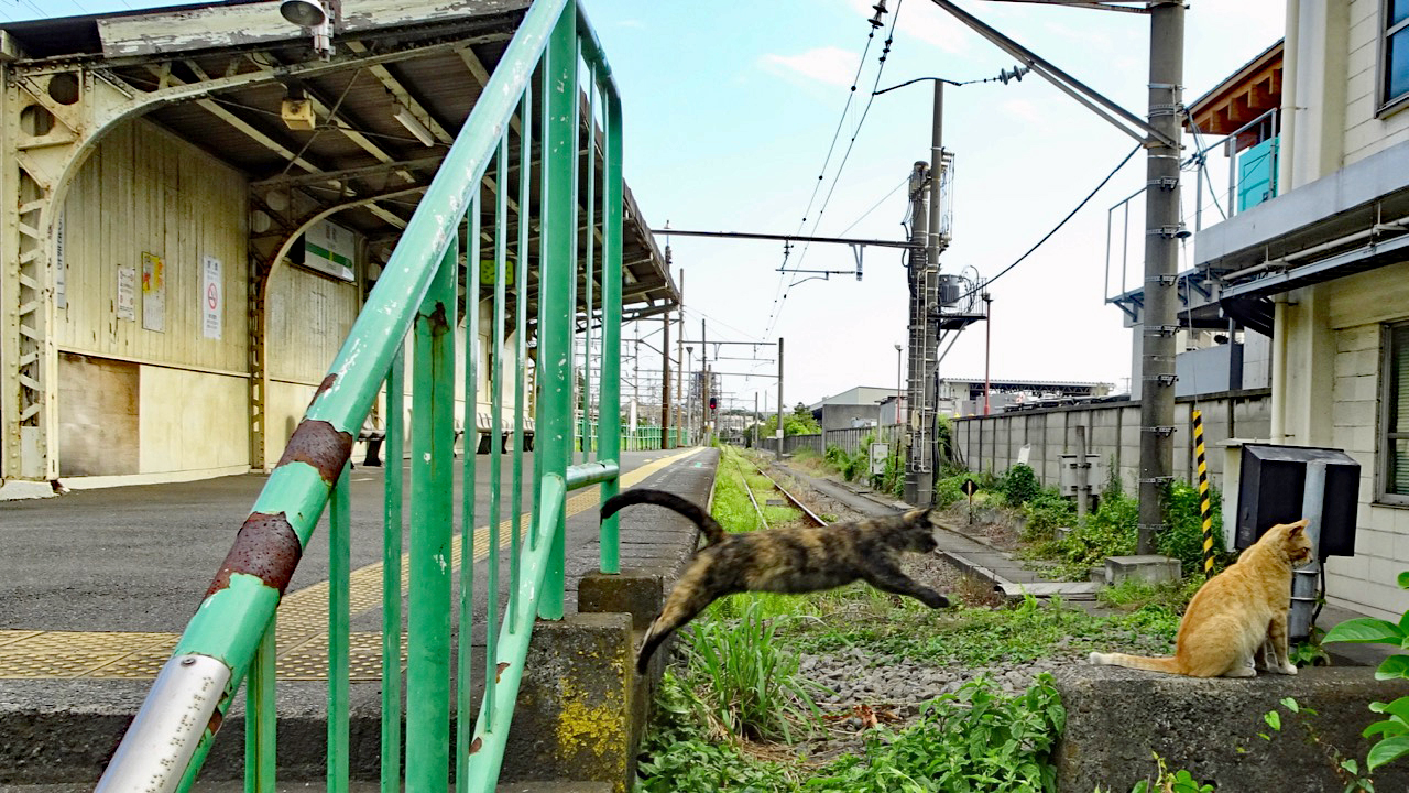 終端駅 31】R東日本 鶴見線 扇町駅 猫 ジャンプ！ | コラム