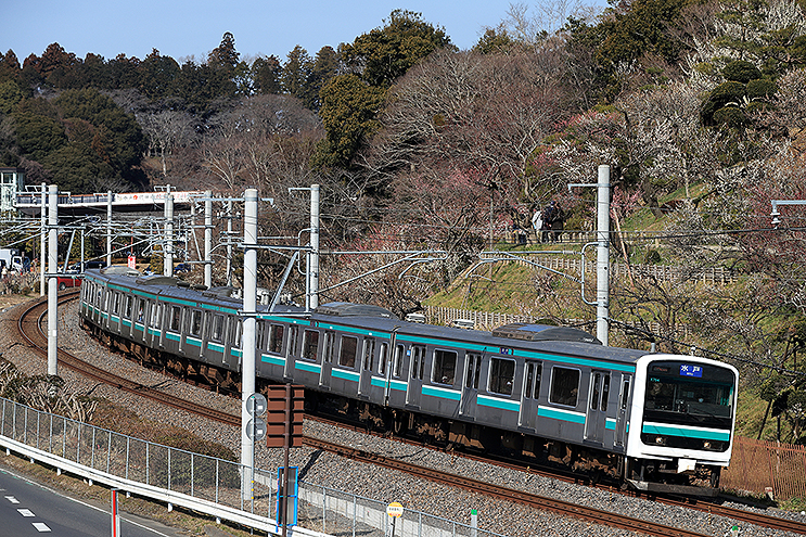 JR E501系通勤電車（水戸線）セット｜製品情報｜製品検索｜鉄道