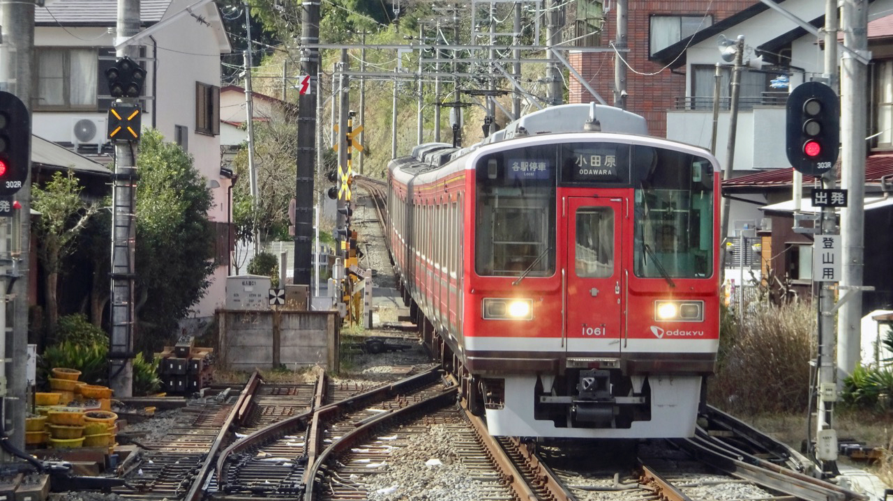 早川にいたアオサギ【私鉄に乗ろう95】箱根登山鉄道 その3