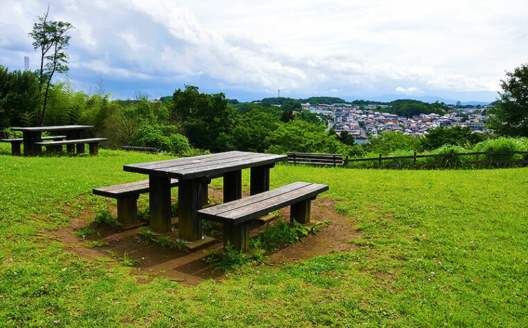 東京都町田市 小山田緑地の圧倒的自然美に惹かれて移住する人のリアル「自分だけの大好きなの森で仕事する幸せ」多摩モノレール町田延伸で大注目の