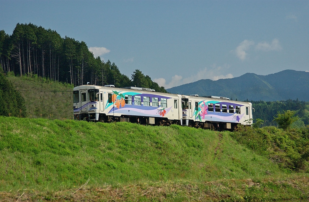 岐阜ローカル鉄道の旅・明知鉄道～田園風景を車窓から眺めつつ、自然薯