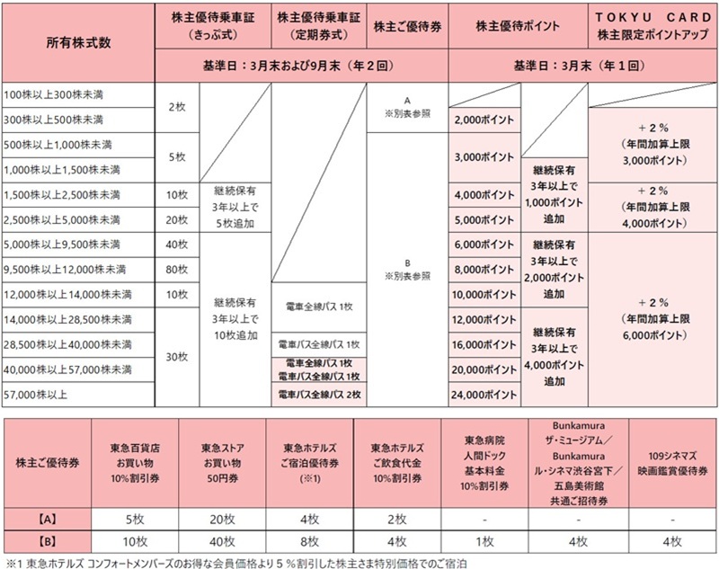 乗車券/交通券 電車全線 東急田園都市線 東急株式会社 株主優待証