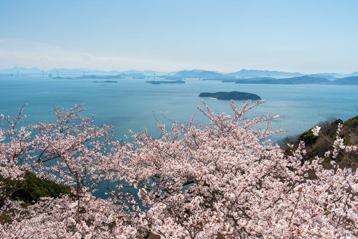 桜色の電車で行きたい、岡山屈指のお花見スポット5選と「扇形機関庫 