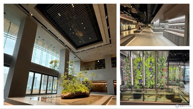 高輪ゲートウェイシティの新エリア「MIMURE」3/28開業、ASAKO IWAYANAGI新業態や究極の牛丼など全22店舗をレポ、都会に“雨 ...