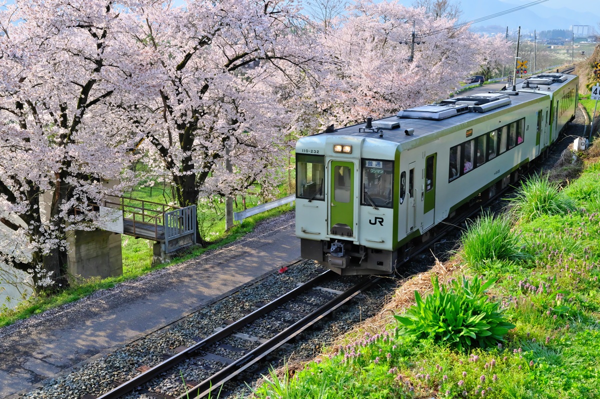 2026年春の青春18きっぷ！ねらい目は「3日間1万円」!? 旅行のプロが