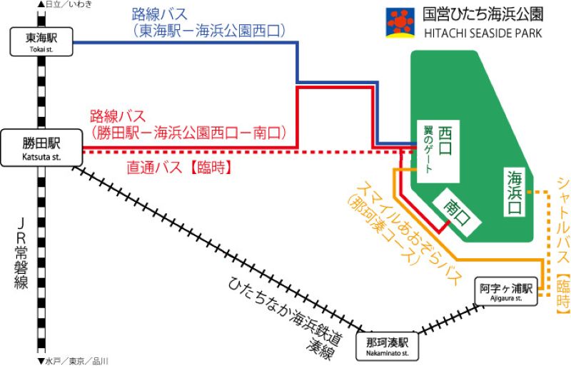 バスガイド　資料　教本　茨城　ひたち海浜公園　那珂湊 2026最新】国営ひたち海浜公園のネモフィラが見頃に！ 530万本の青い丘