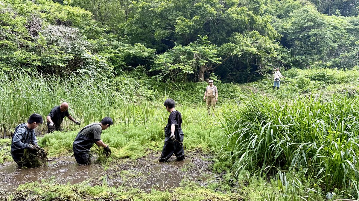 京急の社有林に潜入】三浦半島「みうらの森林（もり）」でゴンチャが