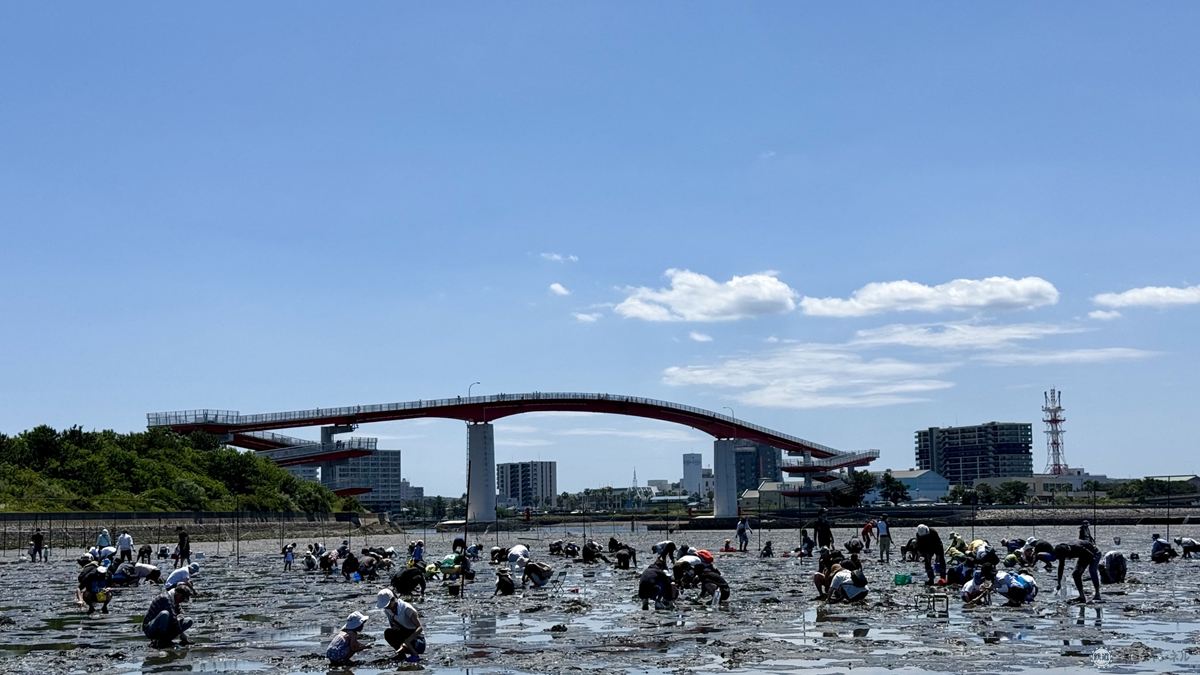 木更津海岸 潮干狩り | ZASTITAELEKTRO.COM