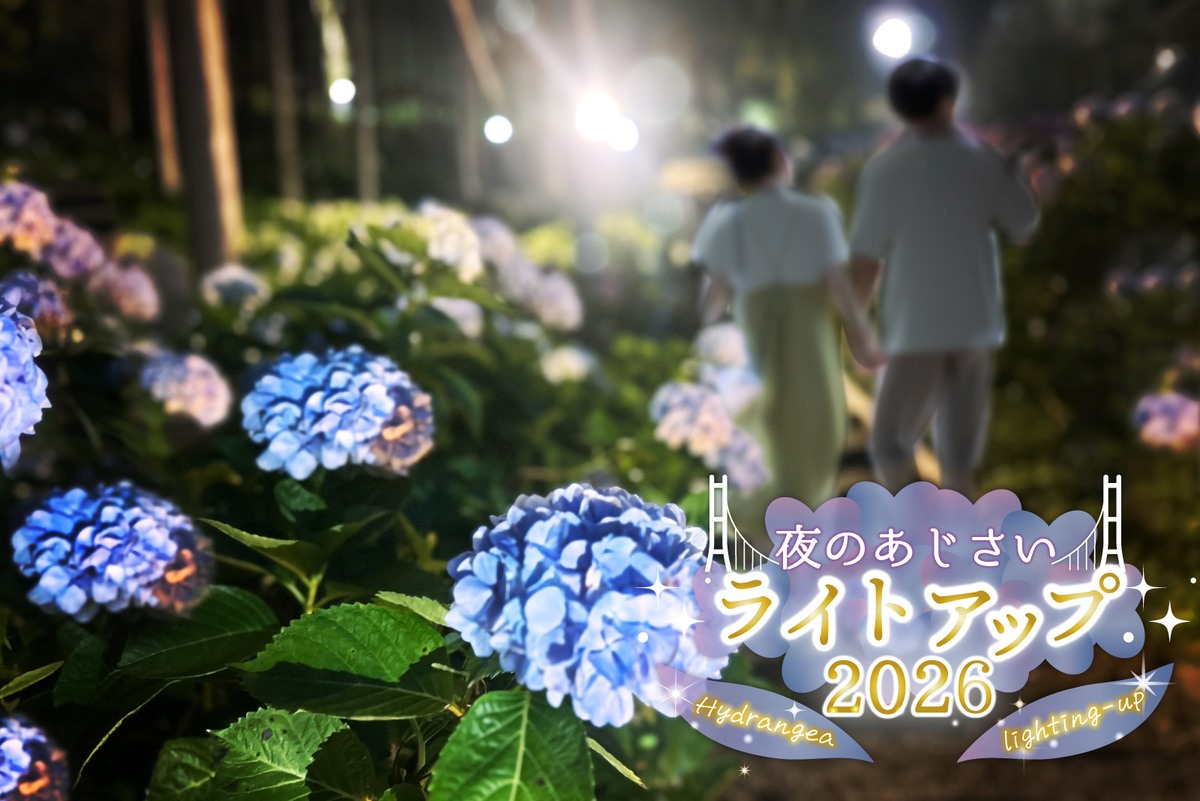 三島スカイウォーク 215品種「あじさい祭」は6/6から！見頃・ライト