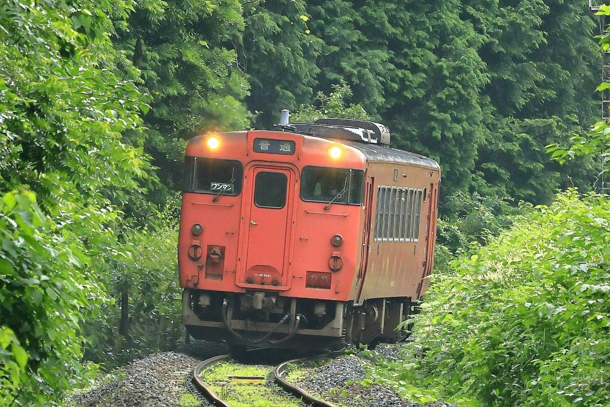 キハ40系50周年記念【JR西日本】全12種の観光列車・地域色ピンバッジを