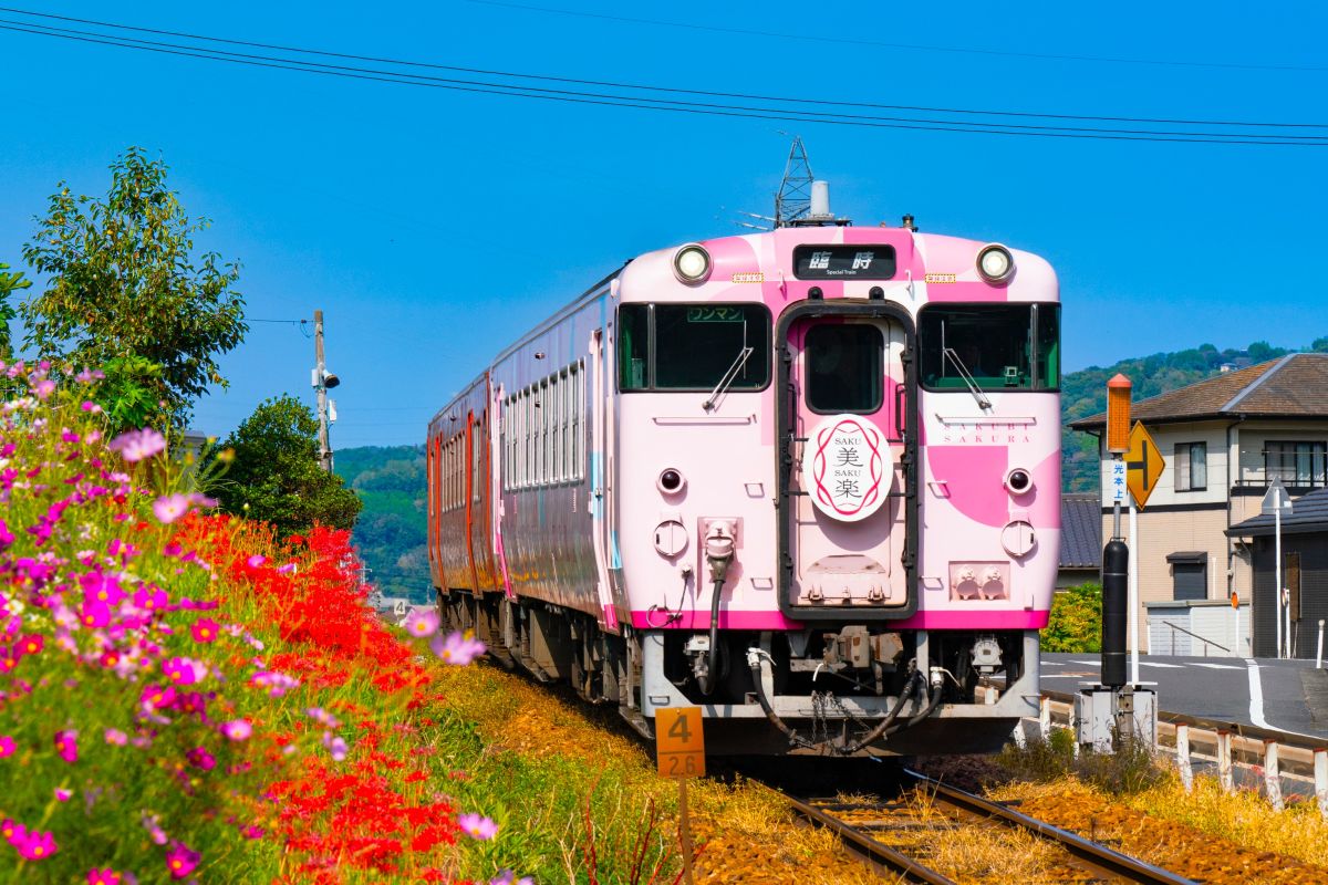 キハ40系50周年記念【JR西日本】全12種の観光列車・地域色ピンバッジを