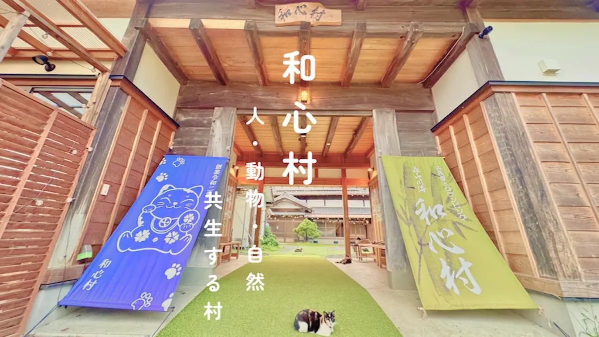 多彩な魅力の古民家グランピング！「和心村」で蛍鑑賞の夜