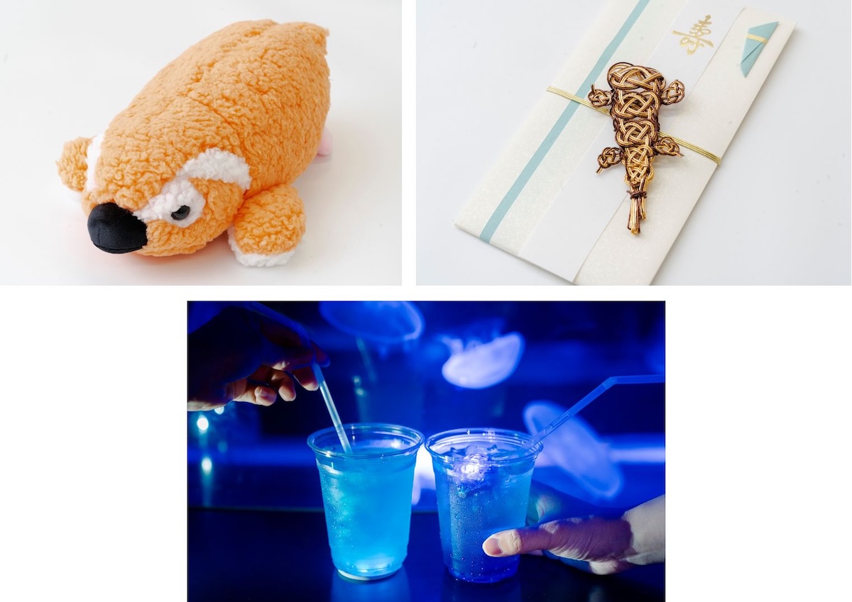 京都水族館「夜のすいぞくかん」シルバーウィーク5日間限定で開催